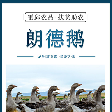 霍邱农品扶贫助农