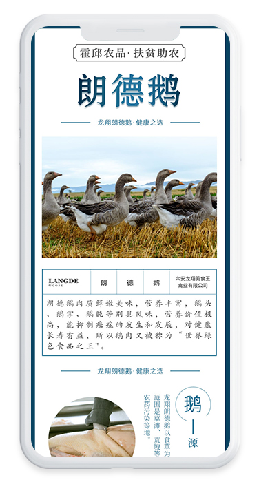 霍邱农品扶贫助农